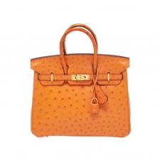 Сумка Hermes Birkin 25 из кожи страуса